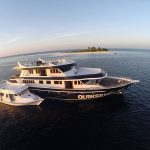 G0016248