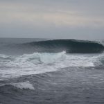 IMG_6206