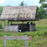 IMG_7267
