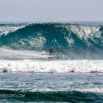 _MG_3818