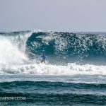 _MG_3833