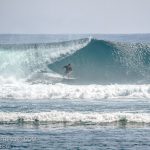 _MG_3856