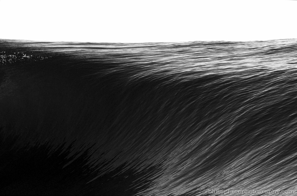 Shell - Wave art