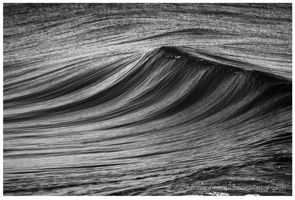 Shell - Fine Art Photography