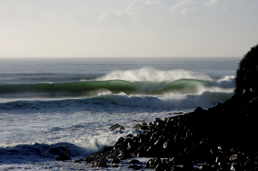 Shell - Burleigh Heads Love