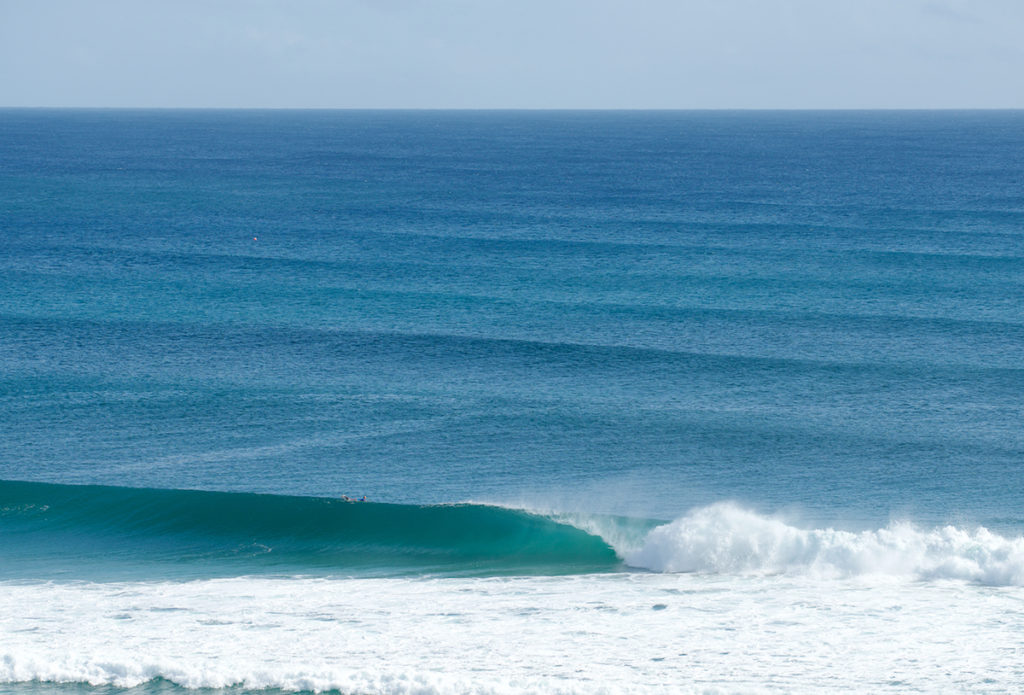 Snapper rocks