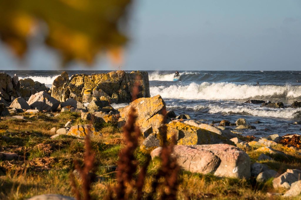 Surfing Sweden