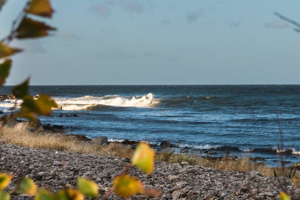 Surfing Sweden