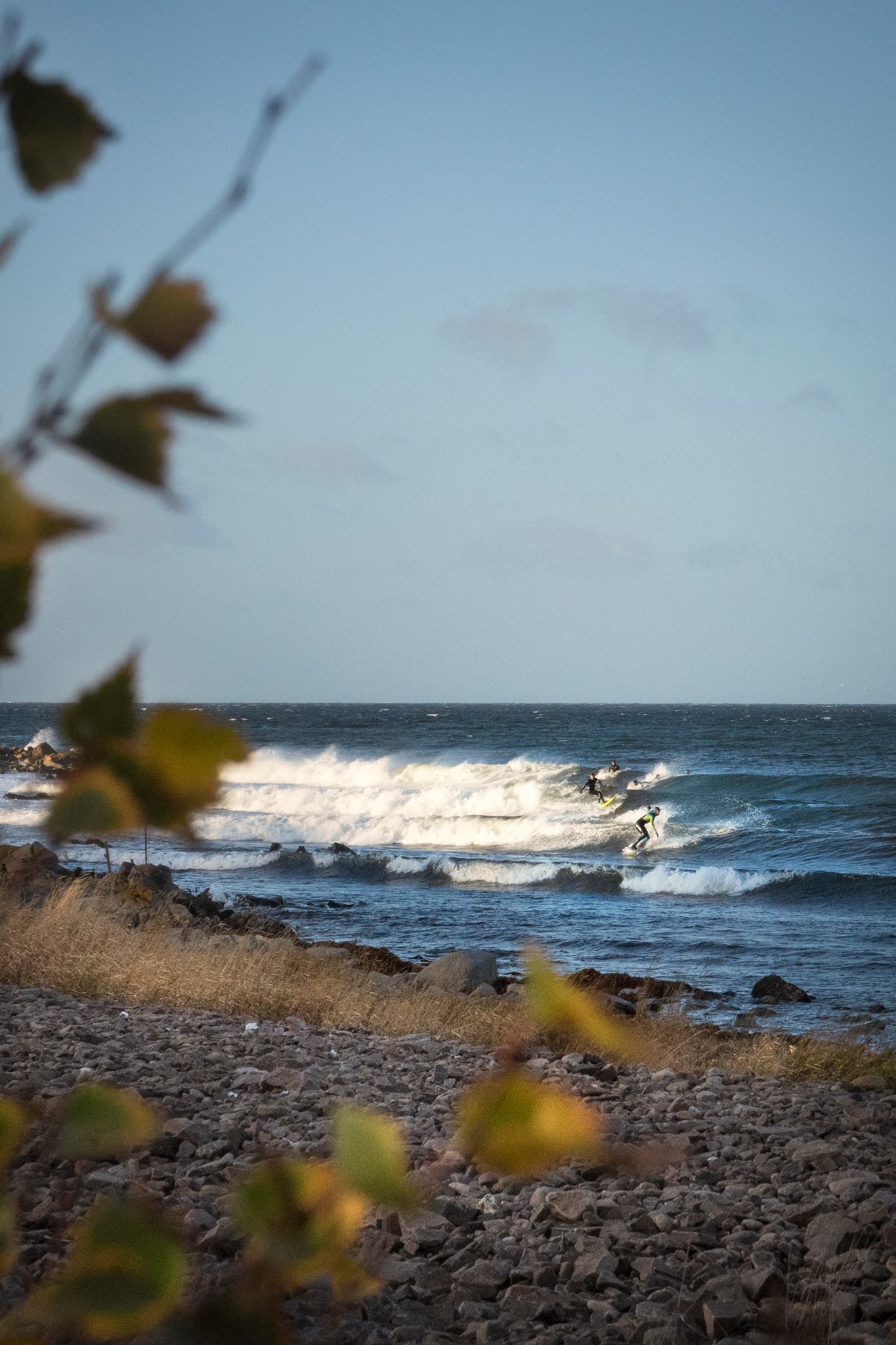 Surfing Sweden